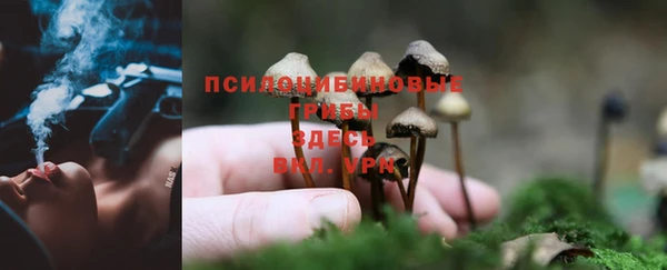 винт Алексин